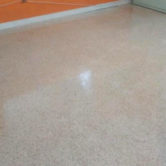 Terrazzo Floor Polishing