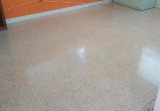 Terrazzo Floor Polishing