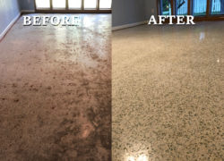 Terrazzo Clean Miami