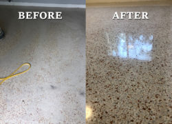 Terrazzo Restoration and Polishing Miami