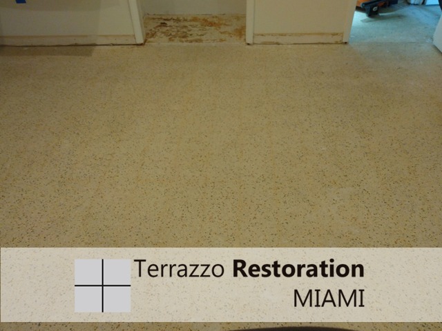 Terrazzo Crack Repair